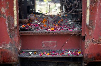 Eleven convicted of gang-rape in 2002 Hindu-Muslim riots go free