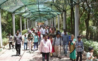 Tourism booster dose: Zoo records 50,000 footfall in three days
