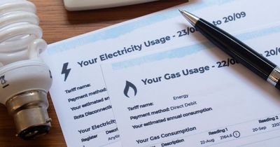 British Gas and Octopus Energy delivers 'significant' plan to UK Government to freeze bills