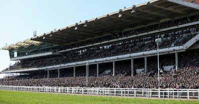 Cheltenham Festival ticket revenue could increase by over 1,100% despite attendance restrictions