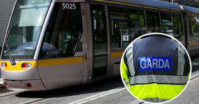 Violent Dublin behaviour 'clearly' grown with need for transport police