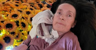 Edinburgh woman in ICU for months treated to dream Van Gogh day out by nurses
