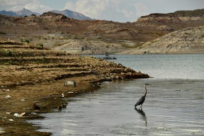 US cuts water allowance for some states, Mexico as drought bites