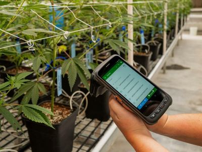 Metrc Announces New Track-And-Trace Government Contract With Alabama
