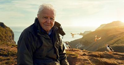 Sir David Attenborough has filmed his new wildlife series on a Welsh island