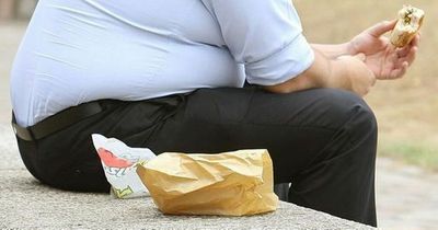 Increase in gout cases fuelled by obesity, say health chiefs