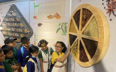 Video | Seeds of Culture - How spices sowed the seeds of globalisation