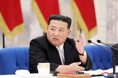 Donetsk leader calls for 'beneficial' ties with North Korea