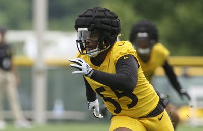 Like his play, Devin Bush’s latest comments are a swing and a miss