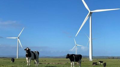 What major project declaration means for Tasmania’s multi-billion-dollar North East Wind plan