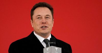 Elon Musk clarifies Man Utd takeover stance after "I'm buying" bombshell