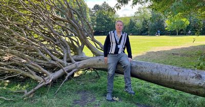 Bosses urged to finally remove fallen tree that has been lying in Gosforth park for more than six months