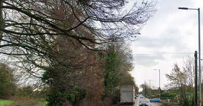 Young Irish man dies following single vehicle lorry crash as PSNI close road