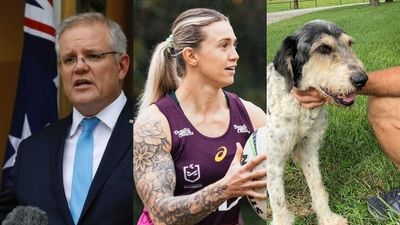 The Loop: Scott Morrison dismisses calls to resign, the NSW flood inquiry's urgent recommendations, and a dog's amazing cave rescue