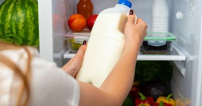Warning as Brits start turning off fridges to save money in cost of living crisis