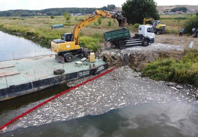 Poland pulls 100 tonnes of dead fish from Oder river after mystery mass die-off