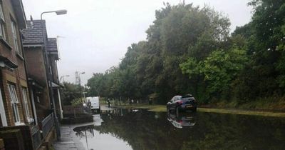 Gardens flooded with sewage as 'bad smell lingers' in East Belfast