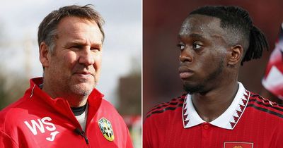 Paul Merson proven right as Aaron Wan-Bissaka to Man Utd transfer comments come to light