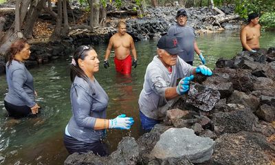 ‘Genius engineering’: the battle to save Hawaii’s historic fish ponds