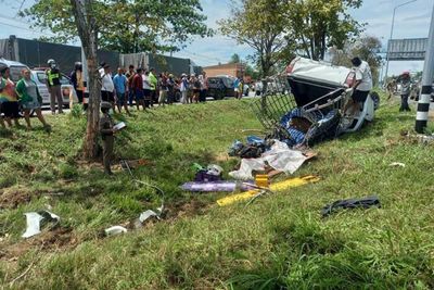 Migrants killed, injured when pickup hits tree