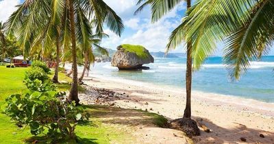 Instagram vs reality images show dream beaches that actually ruined by seaweed