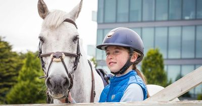 Everything to know about Dublin Horse Show 2022 as it returns to RDS after two years