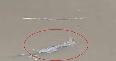 Horrifying moment crocodile seen dragging dead man's body along river