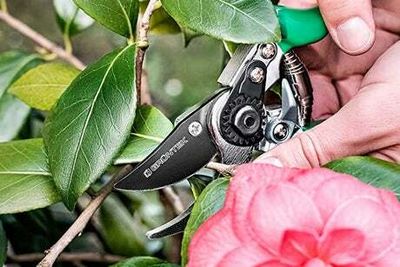 Best secateurs for effectively trimming and pruning the garden