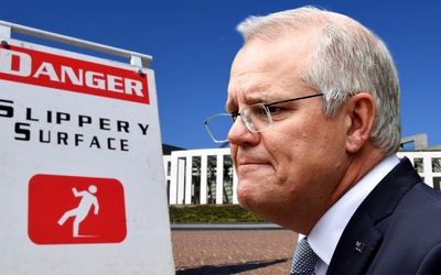 Scott Morrison, backbencher, proves an old hand at making a stand