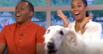 Rochelle Humes stunned by opera singing dog on This Morning - but viewers not so sure