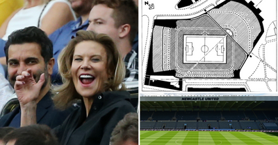 'Make it possible' - Newcastle owners' stadium wish and £100m 80,000 seater plan that never was