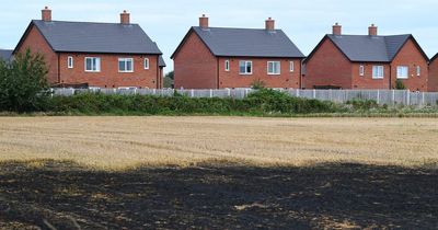 Land scorched after huge wildfire devastates field