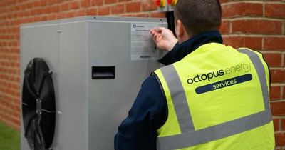 Octopus Energy customers should consider fixed tariffs this Winter