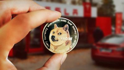 Dogecoin, Elon Musk's Favorite Crypto, Gets Serious