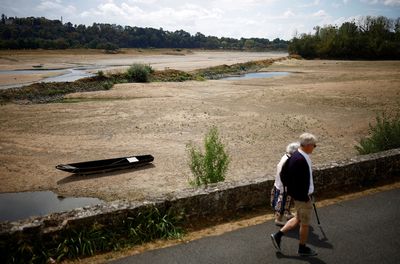 France's river Loire sets new lows as drought dries up its tributaries