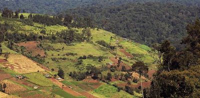 How politics has subverted conservation efforts to protect Kenya’s Mau Forest
