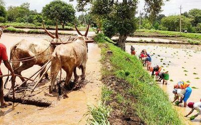 Centre restores farm loan interest subsidy, approves fillip of ₹34,856 crore