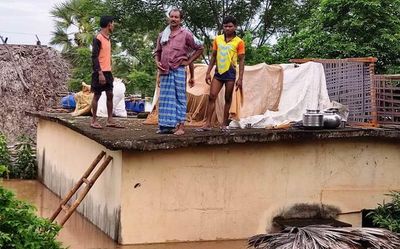 Andhra Pradesh: Flood relief ‘eludes’ Koyas in Eluru and ASR districts