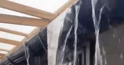 Torrential rain pours through the roof of dog rescue centre ruining beds and equipment
