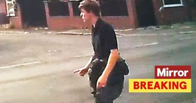 Girl, 7, 'taken into woods' in 'abduction attempt' as police release images of man