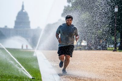 Strange days are here: August in Washington - Roll Call