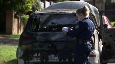 NSW Police Commissioner Karen Webb defends force's gangland murder record