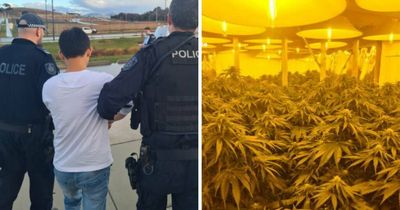 Man hid from police in roof, charged over 300 cannabis plants in Googong home