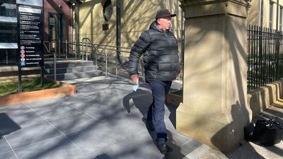Greyhound trainer faces allegations he gave a dog alcohol to fix a race
