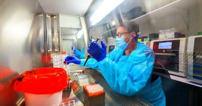 No new COVID-19 deaths as cases remain low