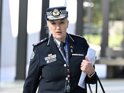 Qld top cop 'did not know' DV plan on hold
