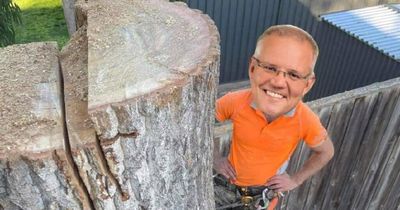 Viral comment reveals Morrison's surprise career change