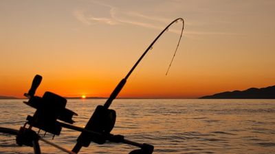 Catches halved and seasonal closures planned for popular West Australian fishery