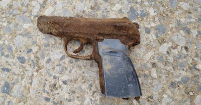 Children, seven and six, find handgun in reservoir
