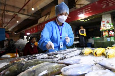 China testing live fish for Covid